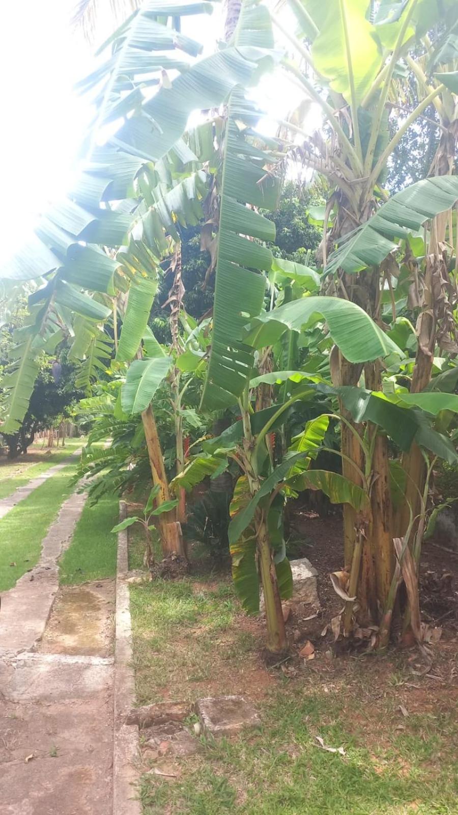 Flor De Jabuticabeira Hostel จากัวรีอูนา ภายนอก รูปภาพ